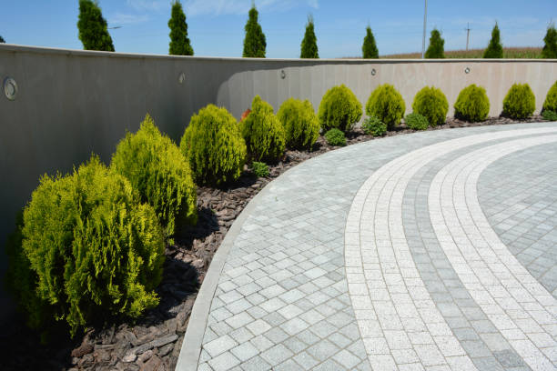 Best Affordable Driveway Pavers  in Clay, CA